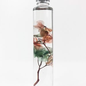 Hydrangea Preserved Bottle, Water Globe, Home Interior Decor
